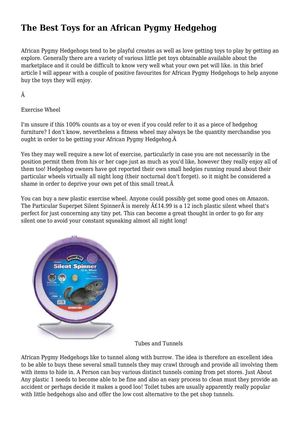 The Best Toys for an African Pygmy Hedgehog