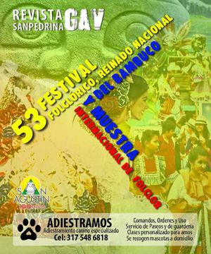 Revista Sanpedrina GAV 2013