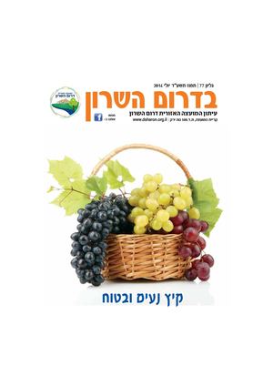 בדרום השרון, עיתון המועצה האזורית דרום השרון, גיליון 77 -יולי 2014