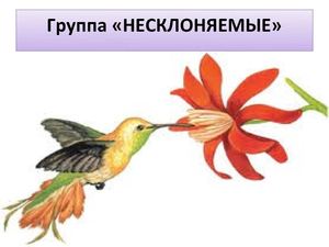 О нас: группа "Несклоняемые"