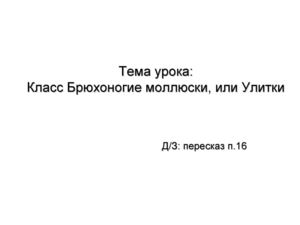 Брюхоногие моллюски