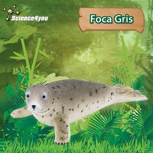 E-book Foca Gris