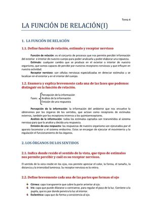 La función de relación