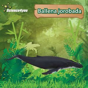 E-book Ballena jorobada