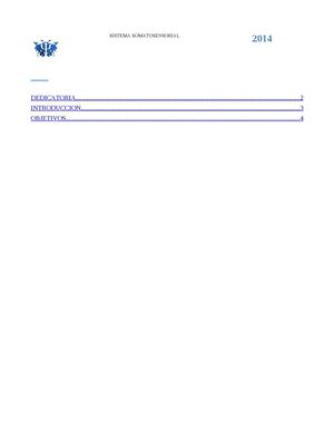 SISTEMA SOMATOSENSORIAL