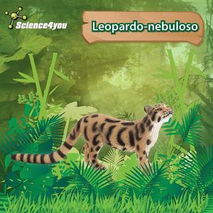 E-book Leopardo-nebuloso