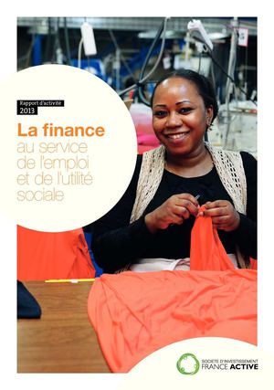 Rapport d'activité SIFA 2013