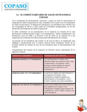 COPASO Y VIGÍA OCUPACIONAL 