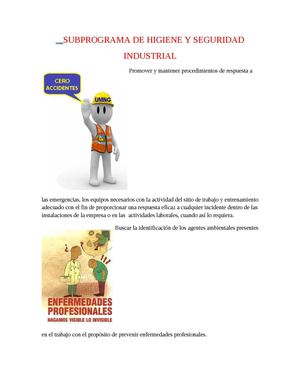 SUBPROGRAMA DE HIGIENE Y SEGURIDAD INDUSTRIAL