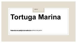 Tortuga Marina