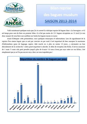 Bilan reprise de bague museum