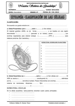 GUÍA  DE  CÉLULA -II-5