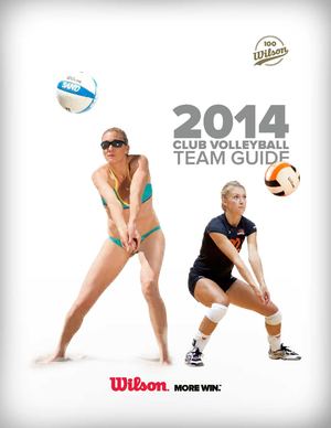 Wilson Volleyball HB