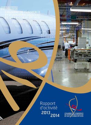 Rapport d'activité 2013-2014 CCI 2A