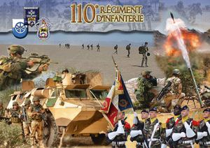 Plaquette spéciale dissolution 110RI 2014