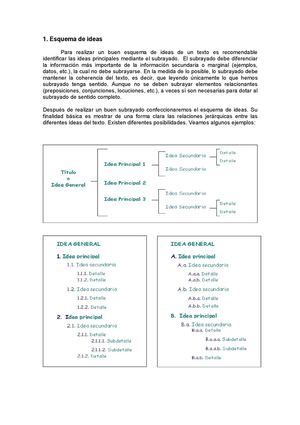 Esquema de un Resumen-Tema