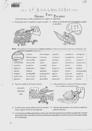 ACTIVIDADES de ORTOGRAFÍA 3º EP