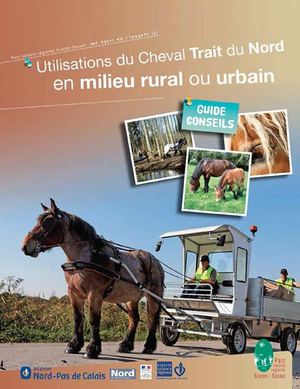 Utilisations du Cheval Trait du Nord en milieu rura ou urbain