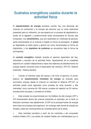 SUSTRATOS ENERGETICOS - SEGURA.