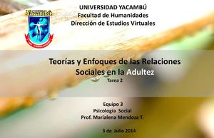 Teorías y Enfoques de las Relaciones Sociales en la Adultez. Equipo 3