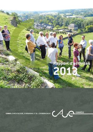 Rapport d'activités 2013