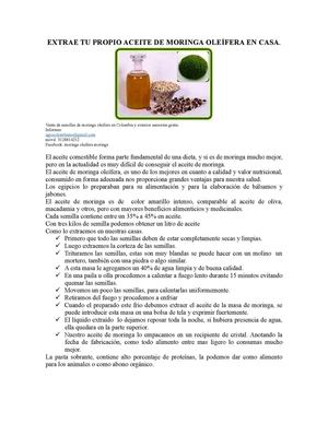extrae tu propio aceite de moringa oleifera en tu casa