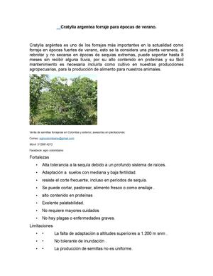 venta de semillas de cratylia argentea