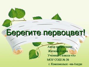Берегите первоцвет!