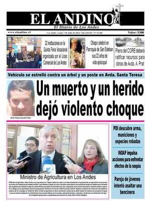 Diario El Andino - Lunes 07 de Julio de 2014