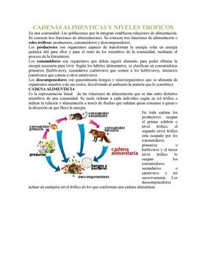 CADENAS ALIMENTICIAS Y NIVELES TRÓFICOS 