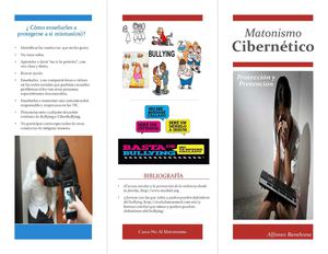 Tríptico: estrategias de protección y prevención del matonismo.