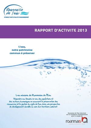 Rapport d'activité 2013 Roannaise de l'Eau