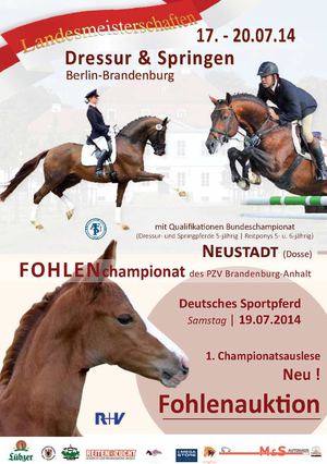 Katalog Landesmeisterschaften, Fohlenchampionat, Fohlenauktion