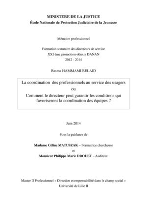 HAMMAMI BELAID Basma. La coordination des professionnels au service des usagers.