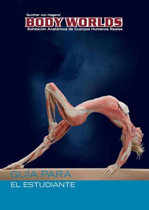 BODY WORLDS