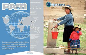 Revista 19 de ANESAPA