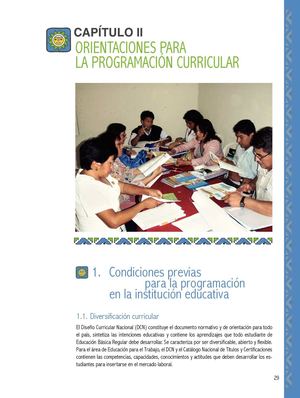 02 Orientaciones para la Programación Curricular