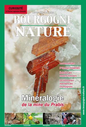 Bourgogne-Nature n°13