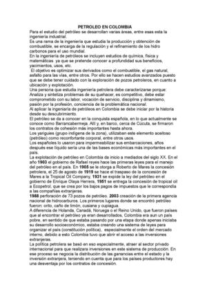 Ensayo Petroleos.