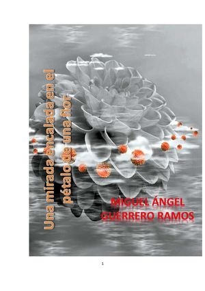 Una mirada encalada en el pétalo de una flor