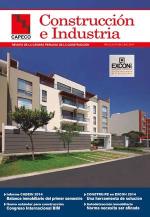 REVISTA CAPECO JUNIO 296