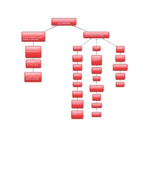 mapa consepctual de la costa caribe