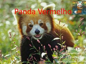 Panda Vermelho