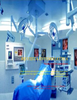 SEGURIDAD HOSPITALARIA