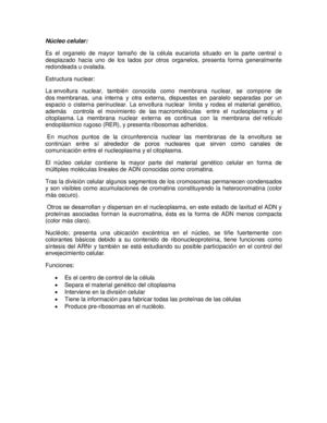 Nùcleo celular.