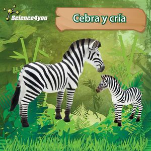 E-book Zebra y cría