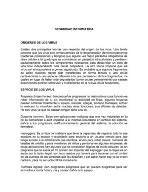 SEGURIDAD INFORMATICA 