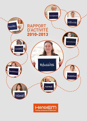 HandiEM - Rapport d'activité 2010-2013