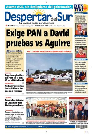 DESPERTARDELSUR220714