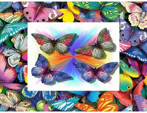 mariposas